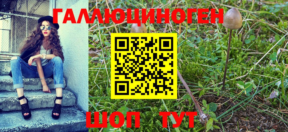 Псилоцибиновые грибы прущие грибы  Вход с VPN  Черкесск  Галлюциногенные грибы ЛСД 